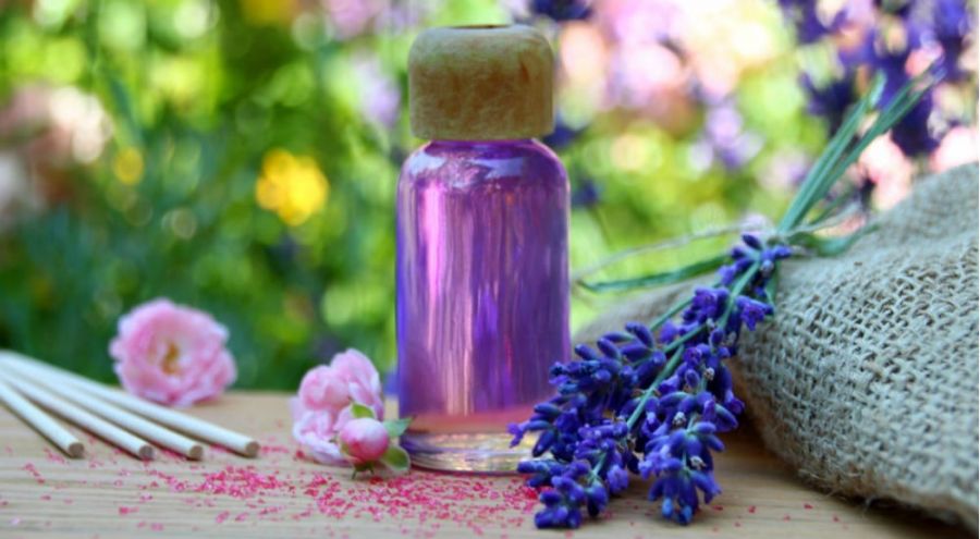 Histoire de l'huile essentielle de lavande