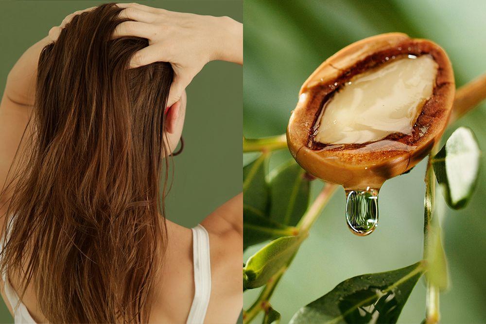 L'huile d'argan : un élixir de beauté et de bien-être venu des terres du Maroc