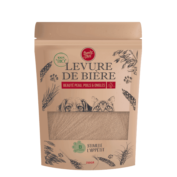 Levure De Biére 250gr