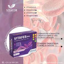 Vitafor VitaFer Plus 30 gélules