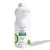 BYPHASSE FRESH FAMILY SHAMPOING THE VERT ET 750ML